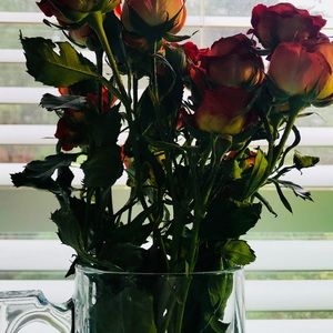 Meet your Posher, Sydney